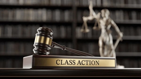 Understanding the Role of Lead Plaintiffs in Class Action Cases ...